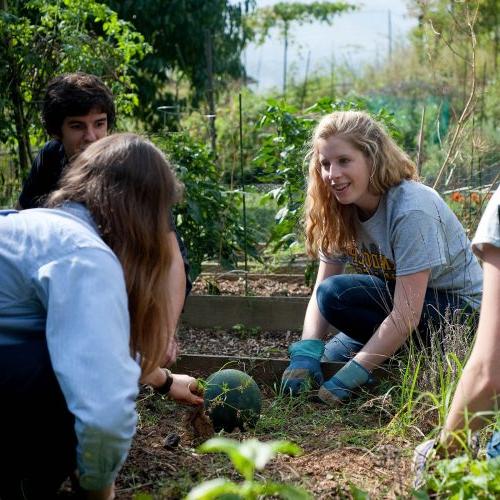 Students work in the Randolph College Organic Garden, a living sustainability and permaculture lab.